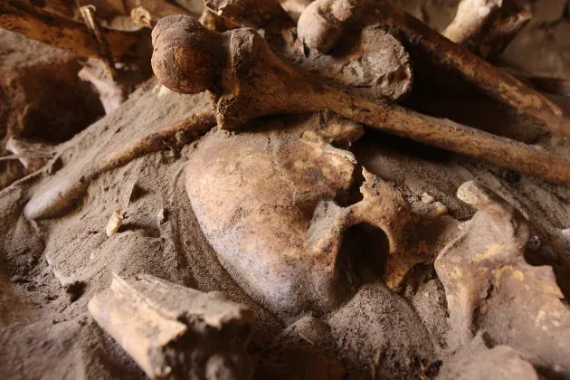 bilder från utgrävningarna