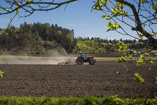 Traktor på jordbruksfält. Foto: Istock.