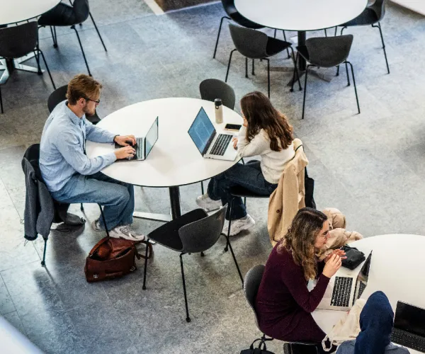 Studenter pluggar. Foto Johan Persson. 