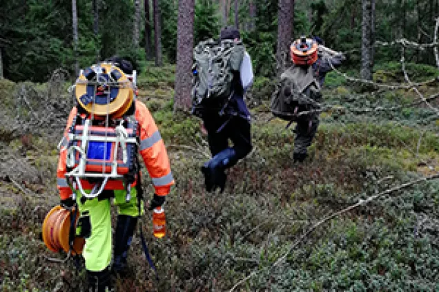Tre personer vandrar i skogen med tung utrustning på ryggen. Foto.