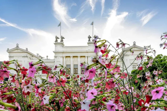 Foto på Lunds universitets huvudbyggnad med blommor framför.