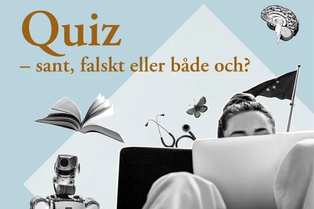 quizz-puff