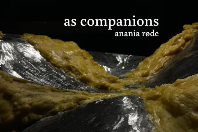 foto av okänt föremål i brunt och svart