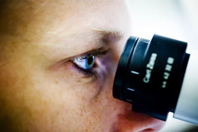 närbild: kvinna tittar i mikroskop