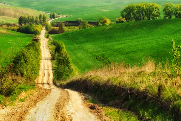 Fält på landsbygden. Foto: Shutterstock.
