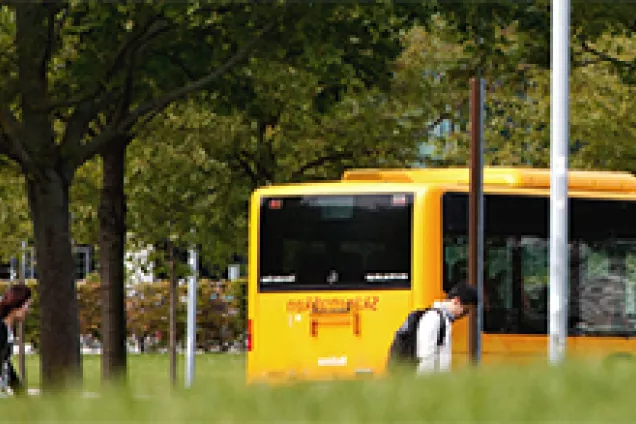 Gul buss med träd i bakgrunden