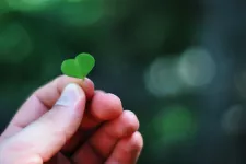 Hand med hjärtformat grönt blad. Foto.