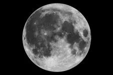 Bild på månen.