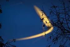 Foto av ett konstverk som visar natthimmel.