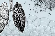 Illustration av lungor och partiklar.