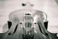 stråkinstrument i svartvit