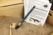 Foto av trälåda med sand, fossil, penslar och faktakort. 