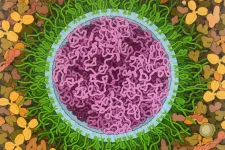 SARS-CoV-2 mRNA vaccin, illustration. Illustration av David S. Goodsell, RCSB Protein Data Bank; doi: 10.2210/rcsb_pdb/goodsell-gallery-027