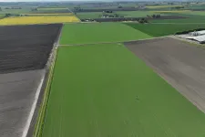 Drönarbild som föreställer odlingsmark.