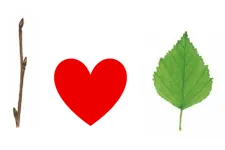 illustration av i love löv med kvist hjärta och blad