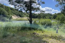Skog på Ivö vid ett kalkbrott, med ett barn i förgrunden
