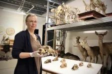 Bild på kvinnlig museiintendent bland kranier och uppstoppade djur.