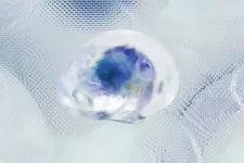 Brain Ai image