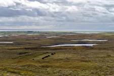 Torvmarker under grå himmel.