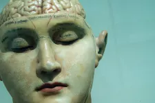 Skulptur med blottad hjärna.