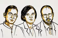 Illustration av pristagarna av nobelpriset i Ekonomi 2019.