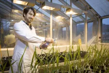 Forskare sprejar växter med en sprejflaska.
