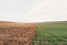 Bild som visar två fält som möts, ett upplöjt och ett gräsbevuxet.