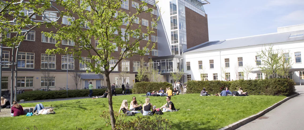 Studenter sitter på gräset utan för Campus Helsingborg. Foto.
