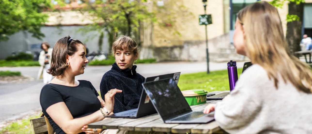 En grupp studenter sitter utomhus och studerar.