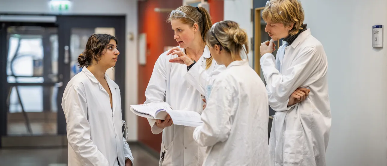 Lärare förklarar något för studenter.