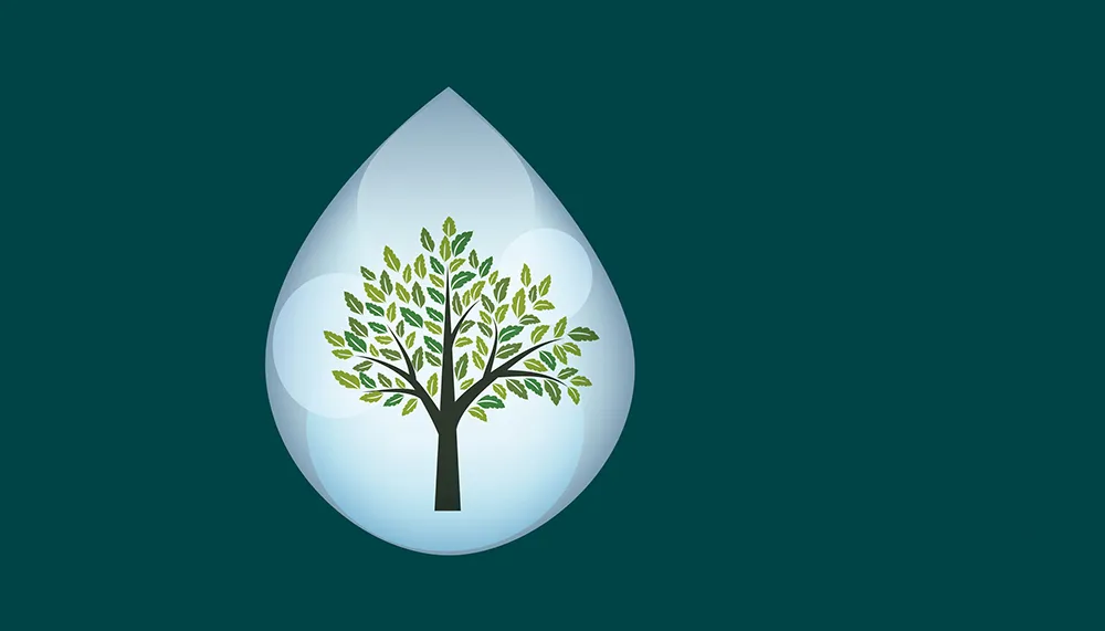 Träd i vattendroppe. Illustration.