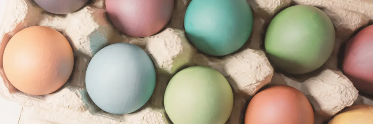 Målade ägg i kartong. Foto.