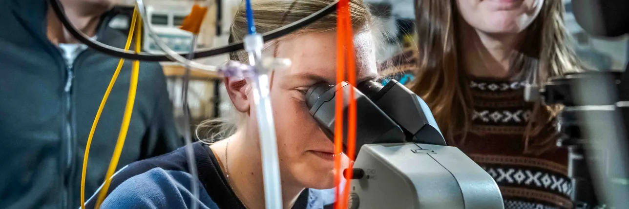 Person tittar i ett mikroskåp. Foto.