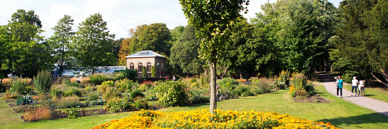 Botaniska trädgården. Foto: Johan Persson.
