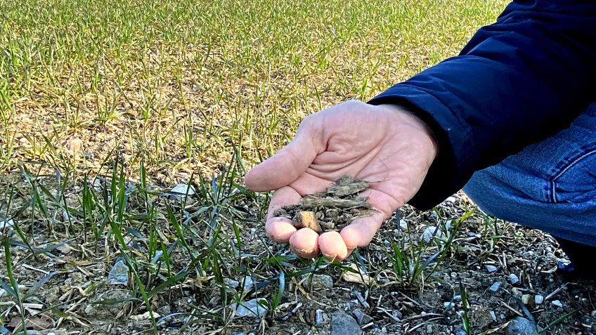 Hand fylld med jord. Foto. 