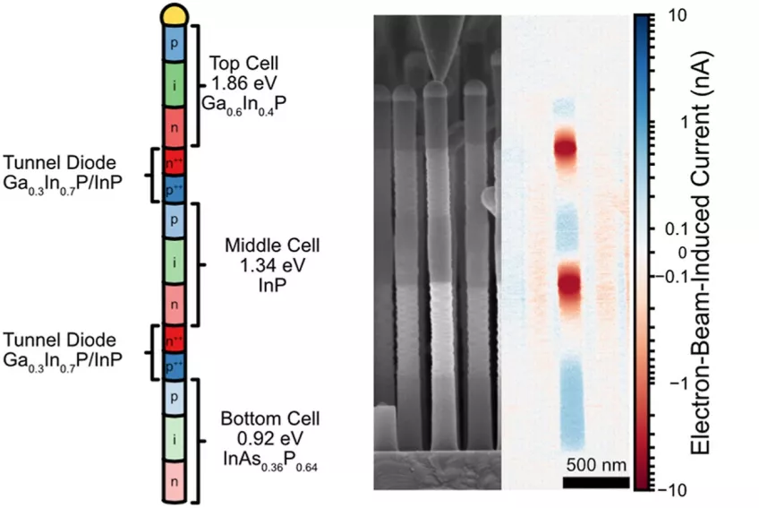 Nanotrådar i tre material avbildade av ett svepelektronmikroskop. En tråd är tusen gånger tunnare än ett hårstrå. Den röda och blå färgen visar strömriktning och att nanotrådarna fungerar som en tandemsolcell. Bild: Lunds universitet