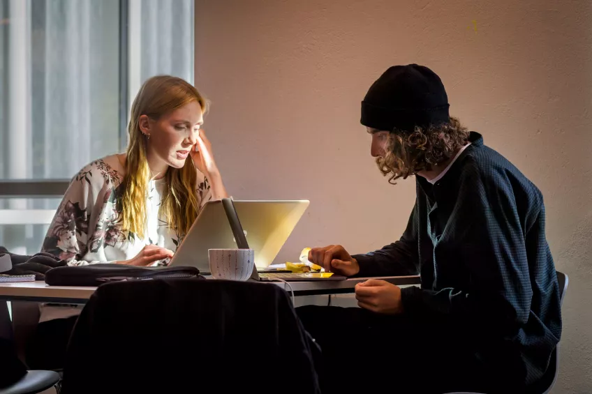 Två studenter pluggar tillsammans. Foto Kennet Ruona.