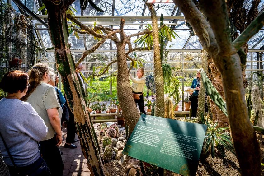 Människor i ett växthus. Foto.