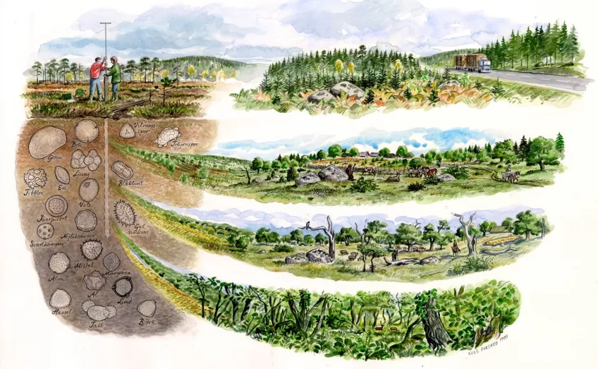 Illustration som visar jordlager och landskapstyper.