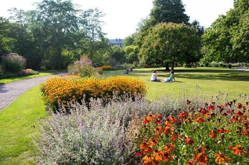 Botaniska trädgården. Foto Johan Persson.