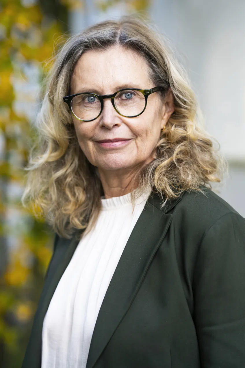 Karin Aggestam