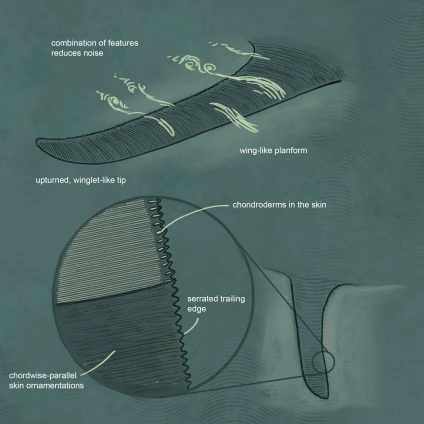 Livsrekonstruktion av den gigantiska fisködlan Temnodontosaurus. Illustration: Joschua Knüppe.