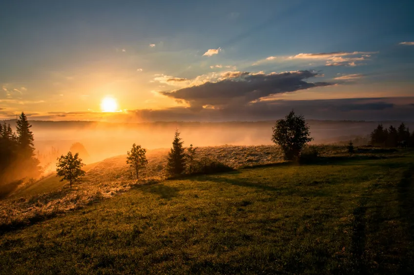 Bild på sol som går upp över ett fält.