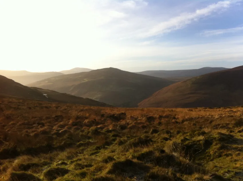 Landskapsbild på irländska hedar.