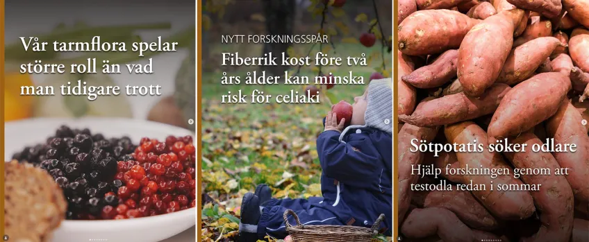 Exempel på tre inlägg från Lunds universitets forskningskonto på Instagram. 