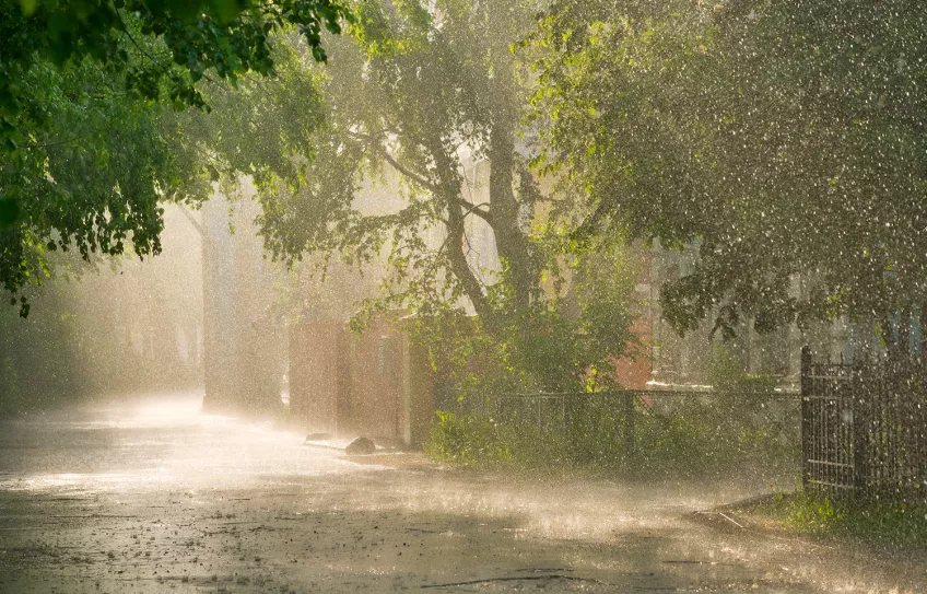 Doften som uppstår från regn på solvarn asfalt fungerar på samma sätt som den som man kan känna från solvarm hud. Bild: Shutterstock.