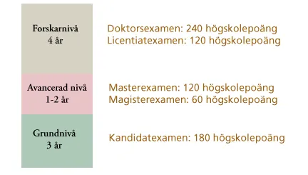 Översikt över olika examina. Illustration.