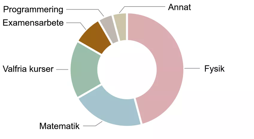 Diagram över utbildningens innehåll. Illustration.