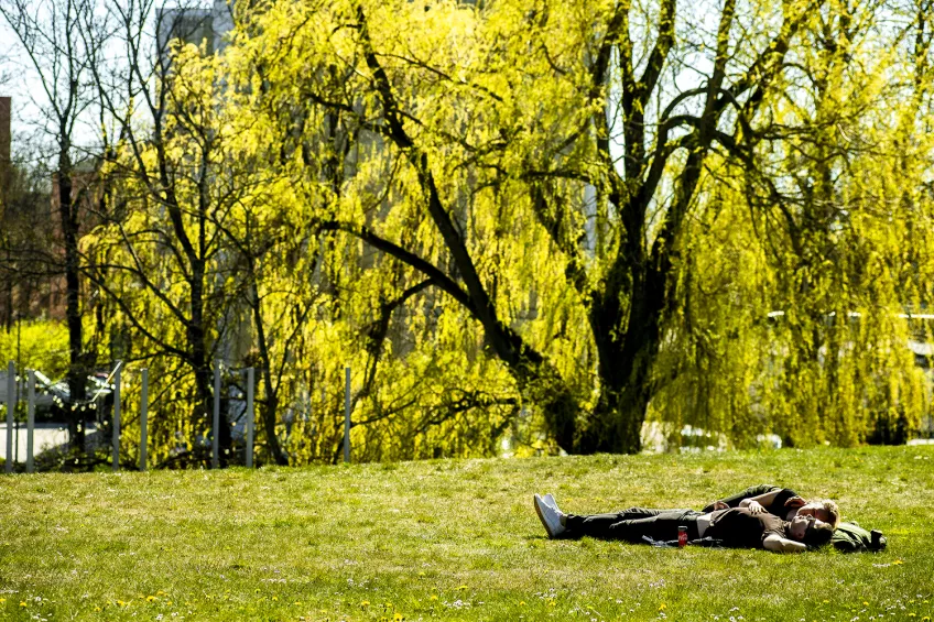 Lisa som pluggar maskinteknik och Samuel som läser industridesign ligger i solen på en gräsvall på LTH-området. Bild: K. Ruona