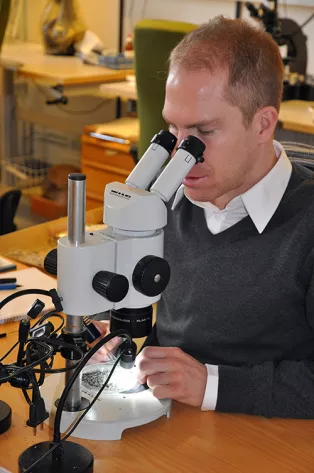 Mikael Larsson studerar skalkornen i mikroskop.